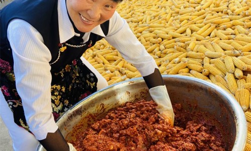 具有代谢解毒功能的系统-食物代谢解毒方法-食物代谢时间是多久,中国食物代谢解毒网站