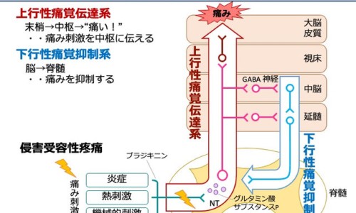 食物代谢解毒方法-食物代谢时间是多久,中国食物代谢解毒网站